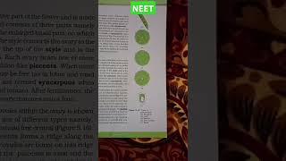 MORPHOLOGY OF FLOWERING PLANTS placentation typeMarginalAxileParietalFree central Basal neet [upl. by Kalina]