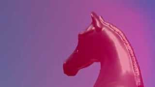 Breyer Horse Music Video Not On Drugs [upl. by Boucher]