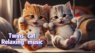 🐾🎵Double the Cuteness Twin Cats Enjoying Calming Music Together cutecat cartoon cartoon [upl. by Bussey]