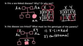 How to solve a Pedigree problems [upl. by Dorreg]