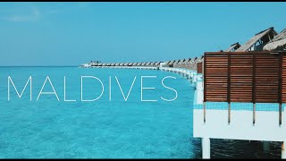 Maldives Travel Experiences [upl. by Popper502]