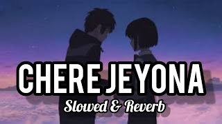 Chere Jeyona Slowed amp Reverb  oviman  Extended Version  Tanveer Evan Lofi  ShariyatLofi [upl. by Bogoch]