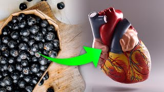 7 Reasons to Eat Chokeberry A Superfood That Improves Your Heart Health [upl. by Eaton554]