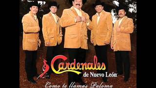 los cardenales de nuevo leon mix [upl. by Stucker]