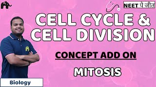 Cell Cycle and Cell Division Class 11 Biology NEET  Mitosis Meiosis  Mitotic phase [upl. by Daph]