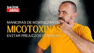 MANEIRAS DE EVITAR OU MINIMIZAR PREJUÍZOS CAUSADOS PELAS MICOTOXINAS [upl. by Endo153]