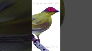 DIGITAL ART DAY 180 Australasian Figbird artoftheday digitalillustrationart digitalart [upl. by Vona803]