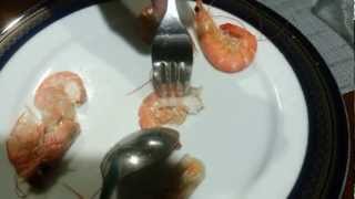 How to peel or deshell shrimp in 3 seconds [upl. by Long123]