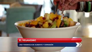 Vegetarianismo y veganismo ¿moda o necesidad [upl. by Darline126]