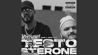 Testostérone feat Trap King [upl. by Ayikat]