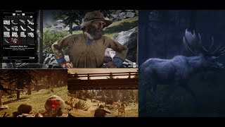 Where to sell Legendary animal skinsRed dead redemption2RDR2 location [upl. by Magnuson]