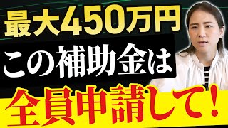 【パソコンも買える】最大450万円！採択率70越えのIT導入補助金についてプロが完全解説 [upl. by Niwdla]