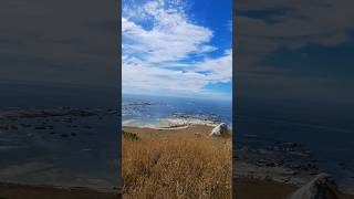 Kaikoura Peninsula Walkway Whalers Bay New Zealand [upl. by Breen]