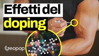 Cosa centrano i testicoli dei porcellini dindia con il doping Gli effetti degli steroidi [upl. by Bainter344]