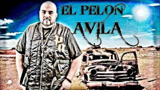 El Elegua  El Pelon Avila Ft Larry HernandezFuerza Records 2011 Estudio [upl. by Rebeka]