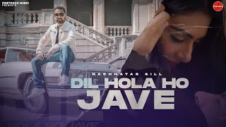 Dil Hola Ho Jave  Nachhatar Gill  Gurnam Gama  Punjabi Songs 2021  FinetouchMusic [upl. by Anna-Diane540]