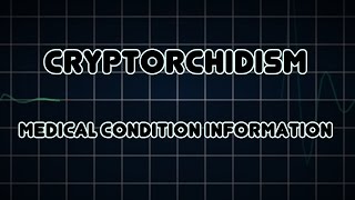 Cryptorchidism Medical Condition [upl. by Ymmak]