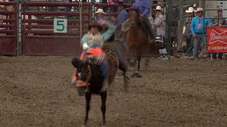 Hamel Rodeo Returns to Northwest Metro [upl. by Clair]