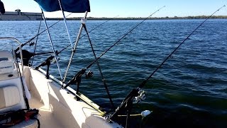 Calaveras Lake How To Drift Fish For Blues [upl. by Ybocaj]