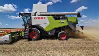 CLAAS TRION 520 PUNERE IN FUNCTIUNE [upl. by Fording1]