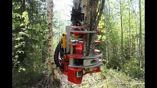 Nisula 285E accumulating energy wood head working in Latvia [upl. by Eira]