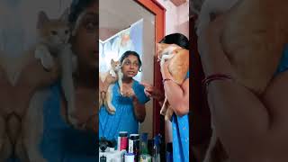 Ata keee cat bswativlogs shortsvideo [upl. by Shifra]