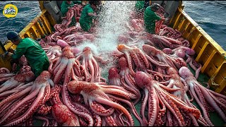 Discover the Process of Catching and Processing Giant Squid by Sea Fishermen 🦑 [upl. by Shulamith]