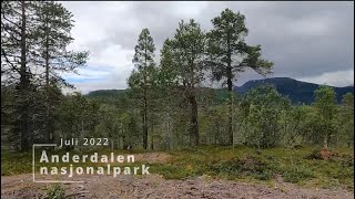 Ånderdalen nasjonalpark juli 2022 [upl. by Adlesirc]