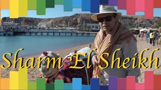 Ayhan Sicimoğlu ile RENKLER  Sharm El Sheikh Mısır 1Bölüm [upl. by Maillw]