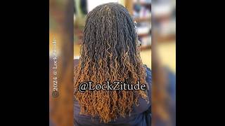 Braiding amp Banding Your Sisterlocks amp Microlocks for Great Braidout Results [upl. by Trebeh]