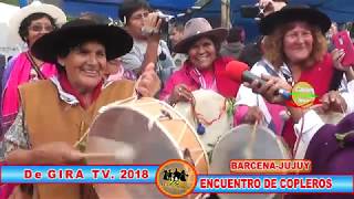 ENCUENTRO de COPLEROS 2018 BARCENA JUJUY [upl. by Eislel348]