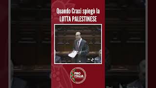 Quando Craxi spiegò la lotta palestinese [upl. by Barbur]