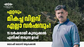 കുമ്പുക്കൽ കുരുമുളക് വിളവെടുപ്പ് എല്ലാ വർഷവും മികച്ച വിളവ് ലിറ്റർ വെയ്റ്റ് കൂടുതലുള്ള ഇനം [upl. by Gine]