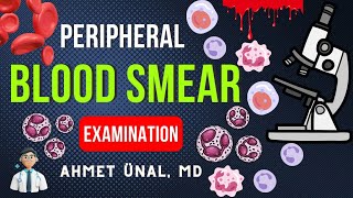 🔬 PERIPHERAL BLOOD SMEAR  NORMAL CELLS on MICROSCOPIC VIEW  EXAMINATION  HEMATOLOGY  ANIMATION [upl. by Steve251]