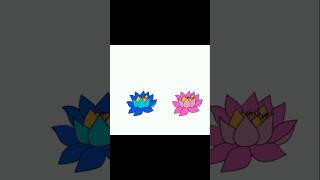 Lotus Blooming Animation 🪷🌸shorts animation [upl. by Juno]