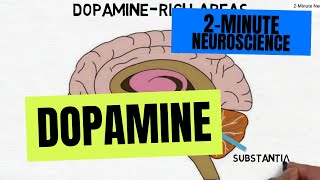 2Minute Neuroscience Dopamine [upl. by Harty]