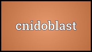 Cnidoblast Meaning [upl. by Nella]