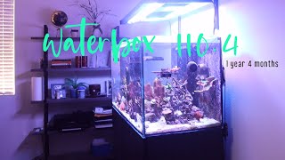 Wateberbox Marine X 1104 1 year 4 months Update [upl. by Brooking]