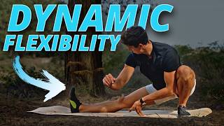 30 Minute Dynamic Flexibility Routine FOLLOW ALONG [upl. by Alys]