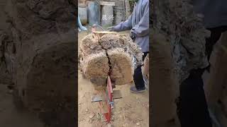 Wood splitting ax wood splitting method 18 [upl. by Bilac]