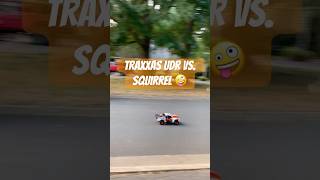 Traxxas UDR vs Squirrel 🤪 traxxas [upl. by Lime]