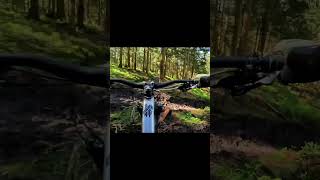 Bikepark Hahnenklee 2024  alle Strecken amp alle neue Features [upl. by Barna]