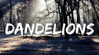 Dandelions  Ruth B Lyrics  Shawn Mendes Calvin Harris Dua Lipa MixLyrics [upl. by Notnats]