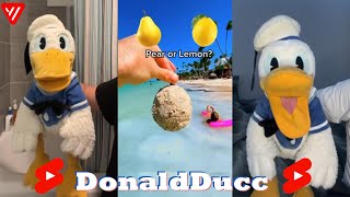 1 HOUR DonaldDucc Shorts Reaction 2024  Best Donald Ducc Shorts 2024 [upl. by Brouwer]