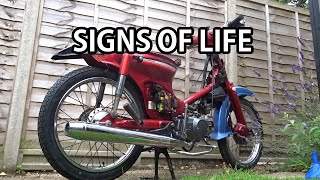 Henry The Honda Cub Honda C90 Project bike Part 4 [upl. by Anrapa]