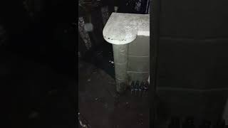 Adante St Malabon Philippines OCt 24  2024 shorts shortvideo youtube youtubeshorts 2 [upl. by Aihsal]