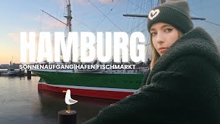 Hamburg IRL  Fischmarkt Sonnenaufgang Hafen [upl. by Hoi338]