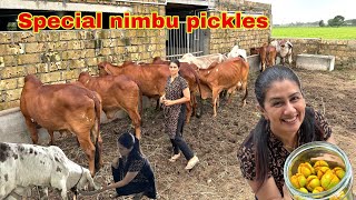 Cow milking ka kaam abb bharti ko karna padega gaushala me gircow cowmilkingbyhand [upl. by Inalaek]