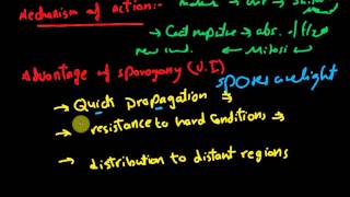 Biology  Reproduction  L4  Sporogony [upl. by Reibaj559]