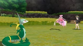 serperior sweep [upl. by Ahsataj]